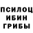 Псилоцибиновые грибы прущие грибы Esdras Mayen