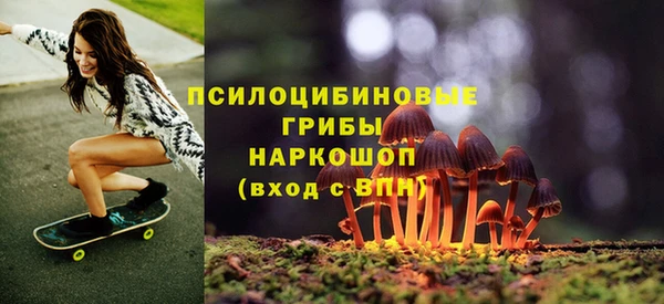 стаф Коряжма