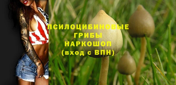 синтетический гашиш Корсаков